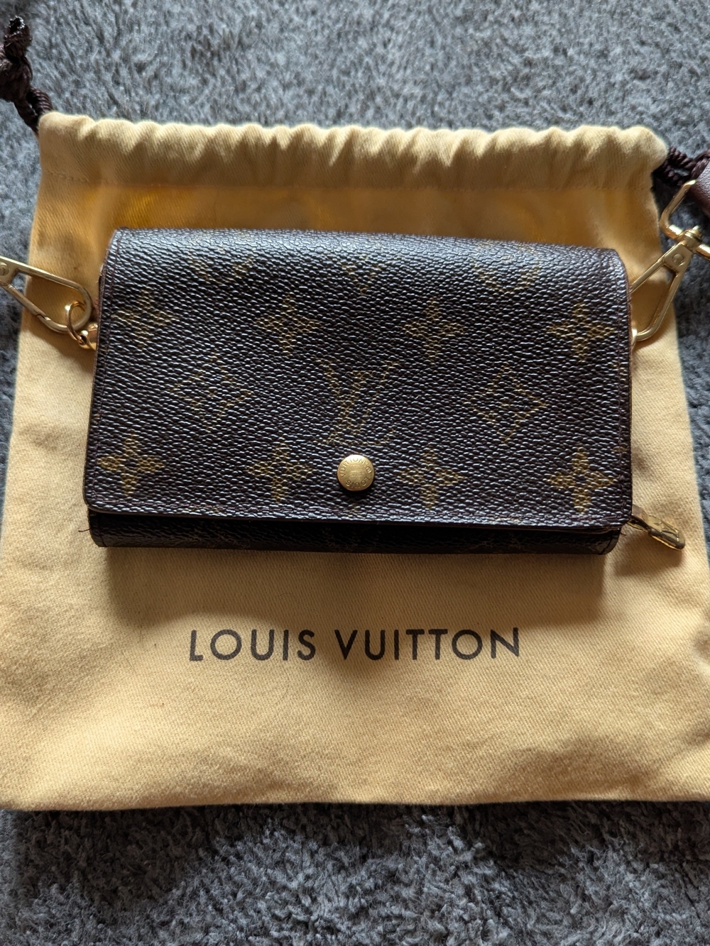 Louis Vuitton Monogram Canvas Wallet on Chain - Brown